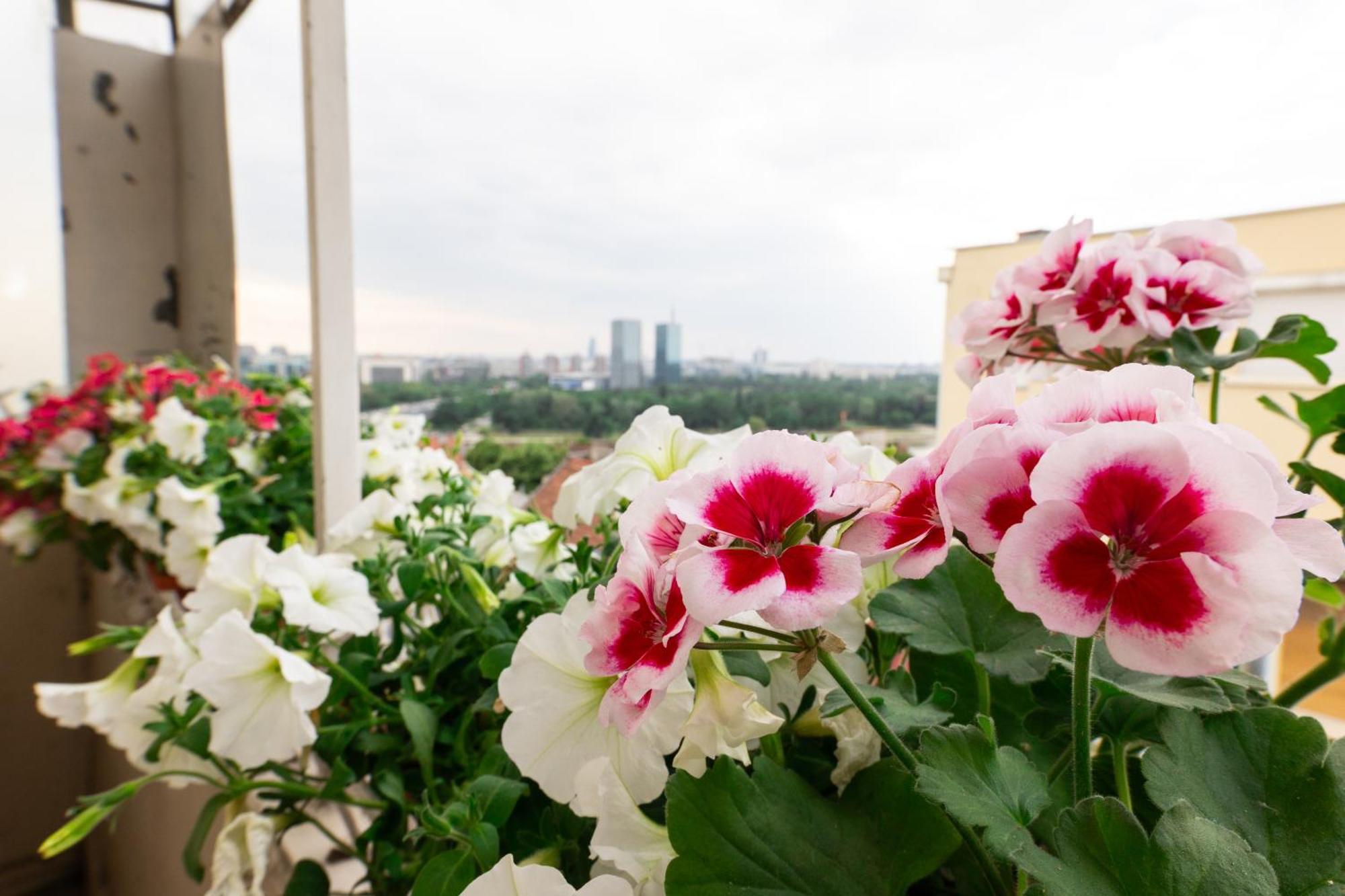 Ugi House - City Center Beograd Bagian luar foto